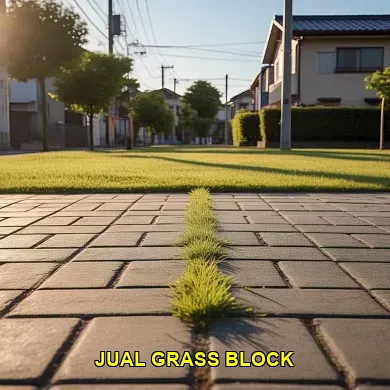 jual grass block